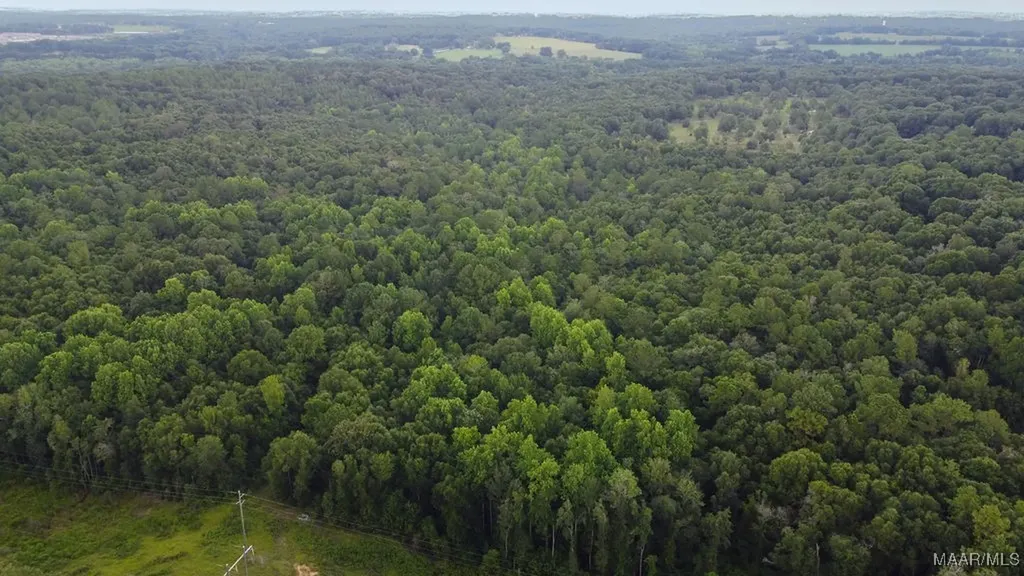 0 Averett Road Enterprise AL 36330