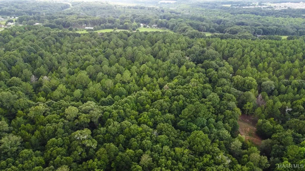 0 Averett Road Enterprise AL 36330