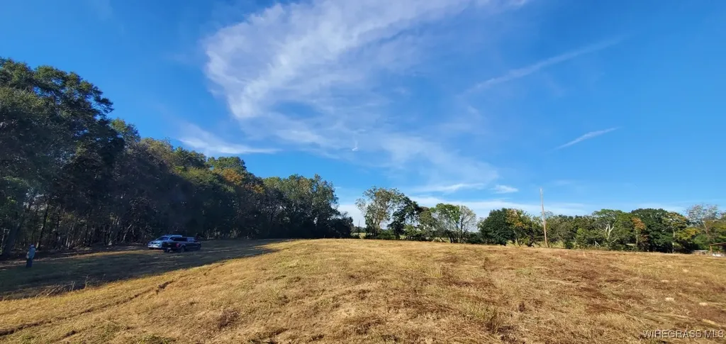 0 County Road 3319 Brundidge AL 36010