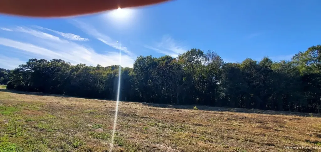 0 County Road 3319 Brundidge AL 36010