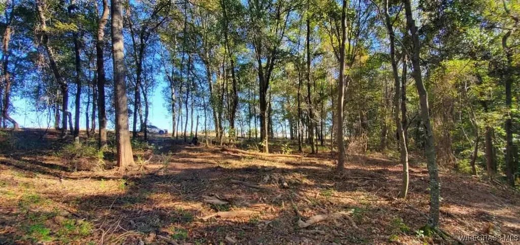 0 County Road 3319 Brundidge AL 36010