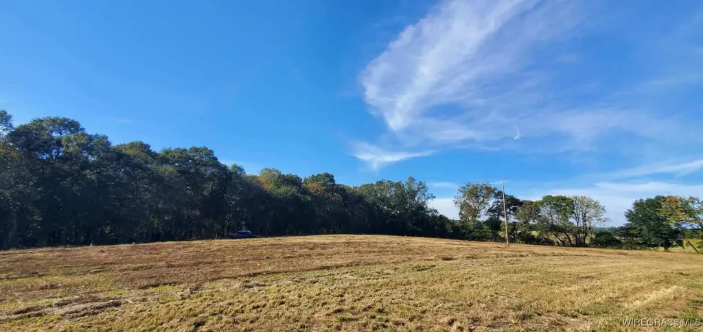 0 County Road 3319 Brundidge AL 36010