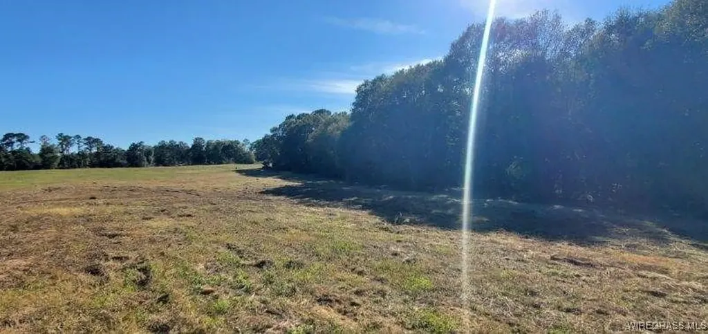 0 County Road 3319 Brundidge AL 36010