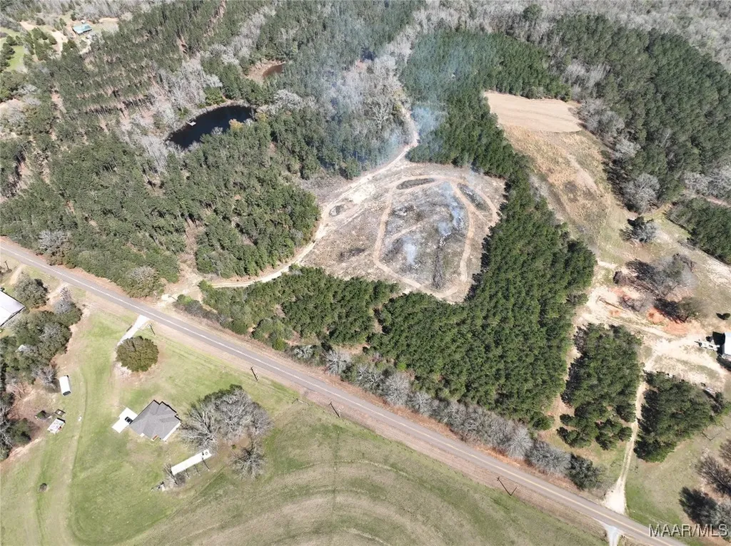 0 County Road 69 Highway Skipperville AL 36374