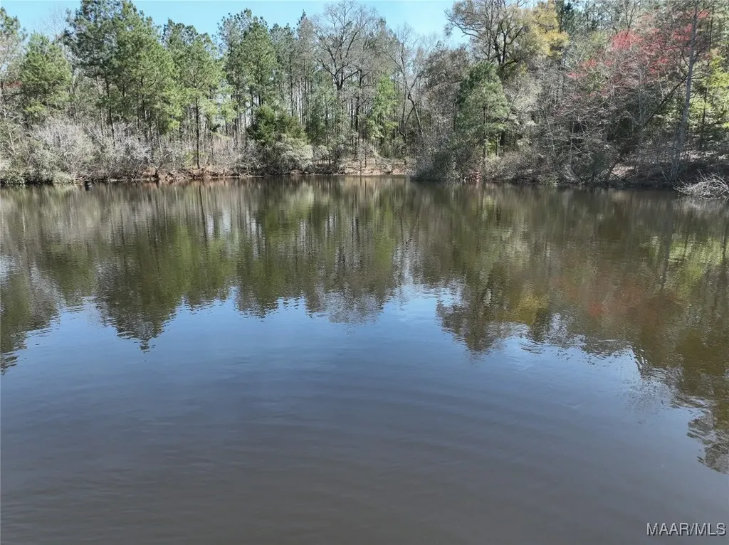 0 County Road 69 Highway Skipperville AL 36374