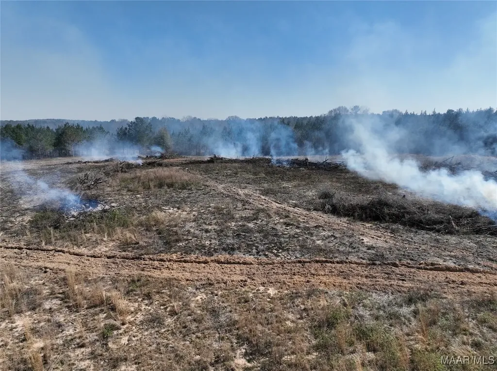 0 County Road 69 Highway Skipperville AL 36374