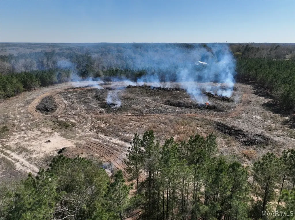 0 County Road 69 Highway Skipperville AL 36374