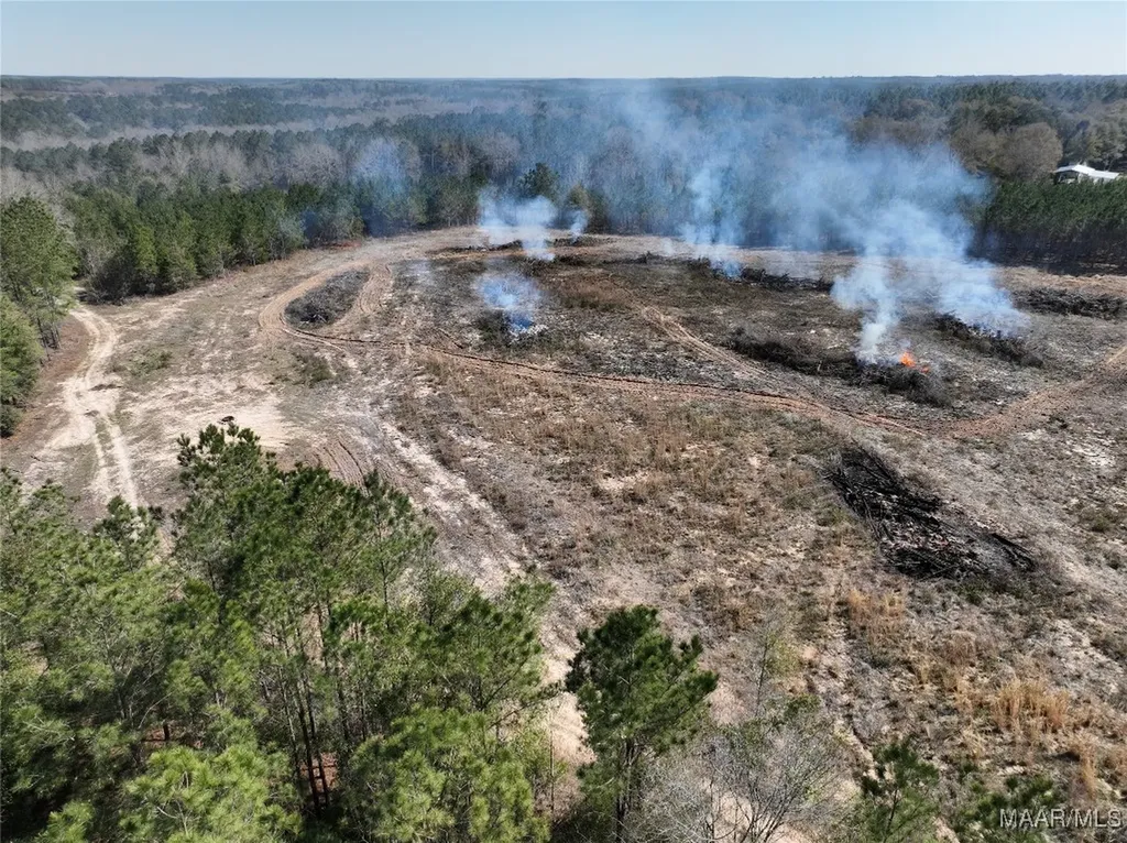 0 County Road 69 Highway Skipperville AL 36374