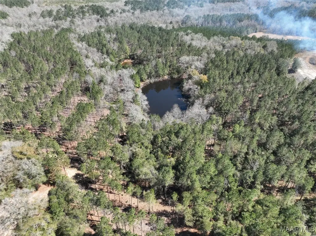 0 County Road 69 Highway Skipperville AL 36374