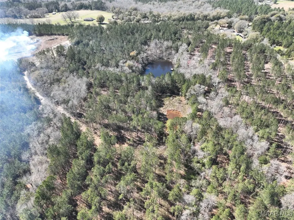 0 County Road 69 Highway Skipperville AL 36374