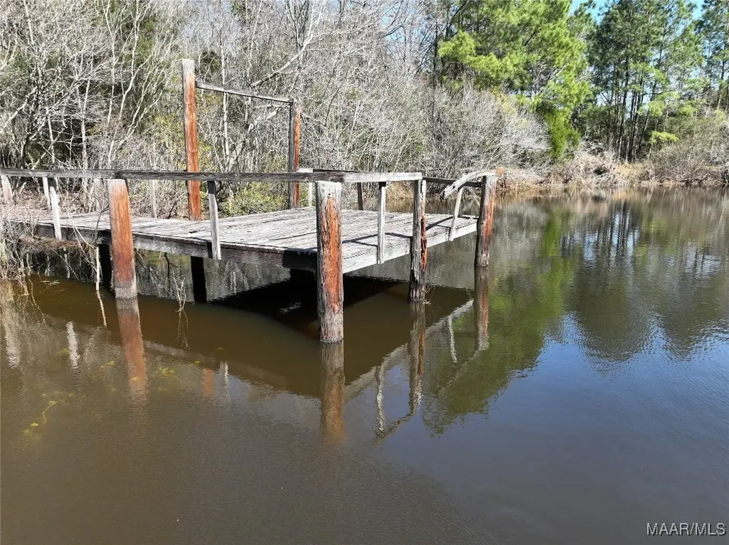 0 County Road 69 Highway Skipperville AL 36374