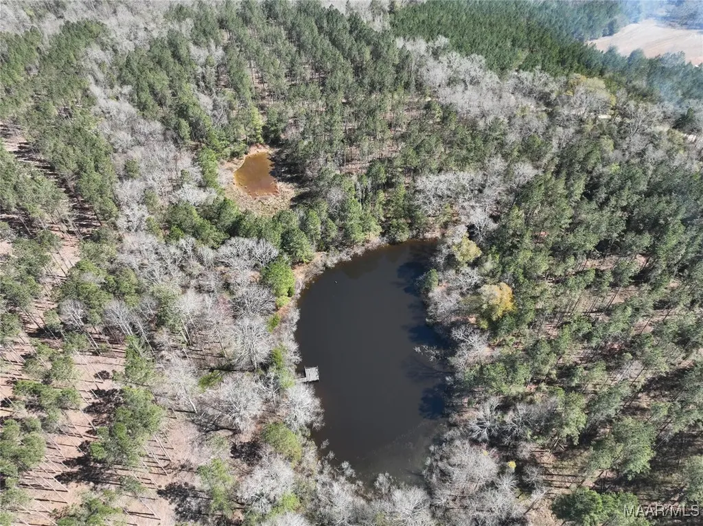 0 County Road 69 Highway Skipperville AL 36374