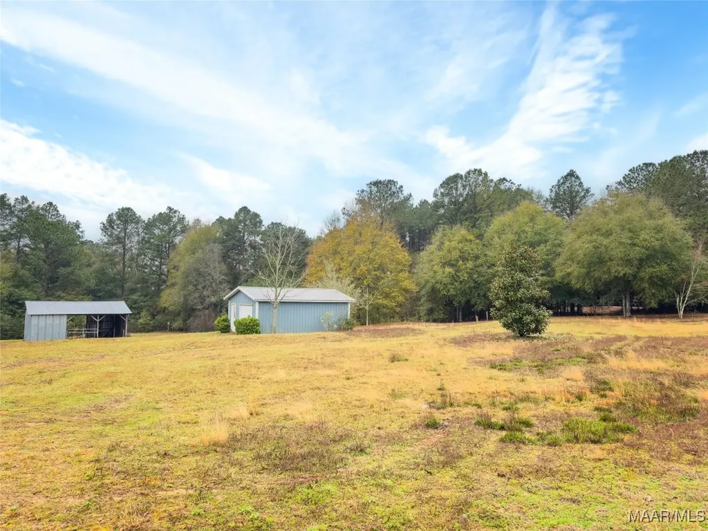 0 County Road 40 Chancellor AL 36316