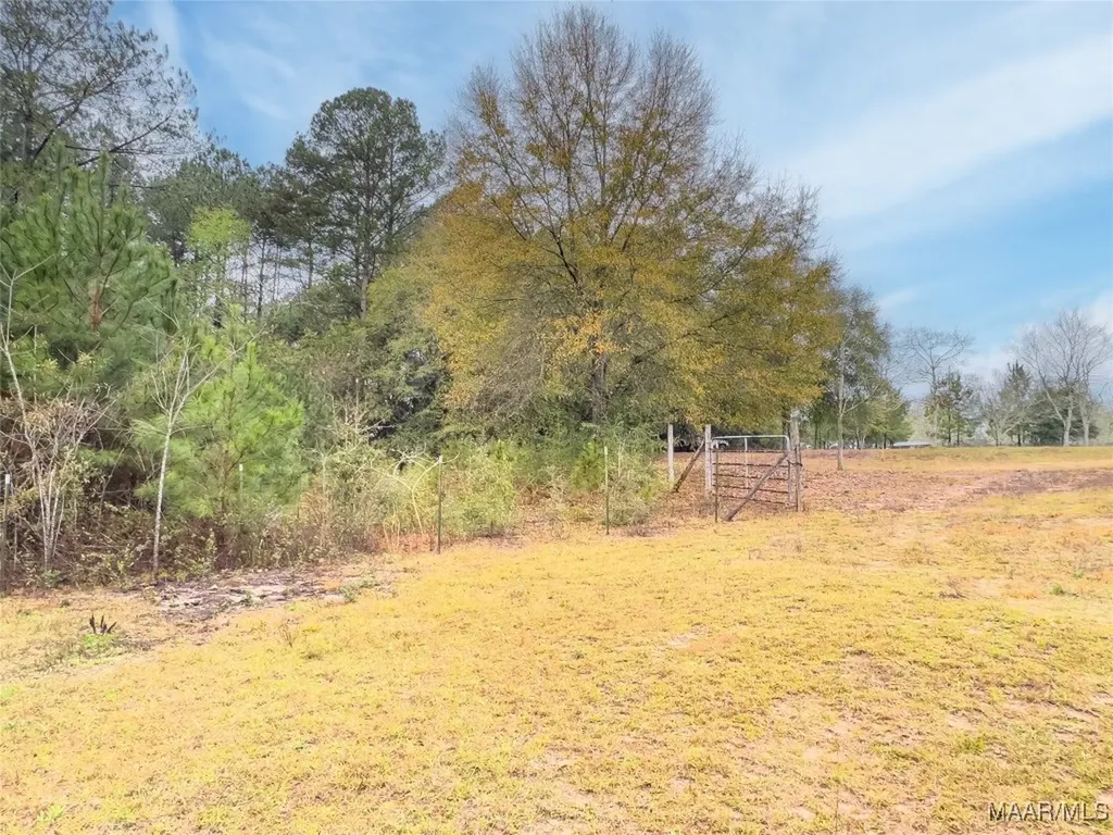 0 County Road 40 Chancellor AL 36316