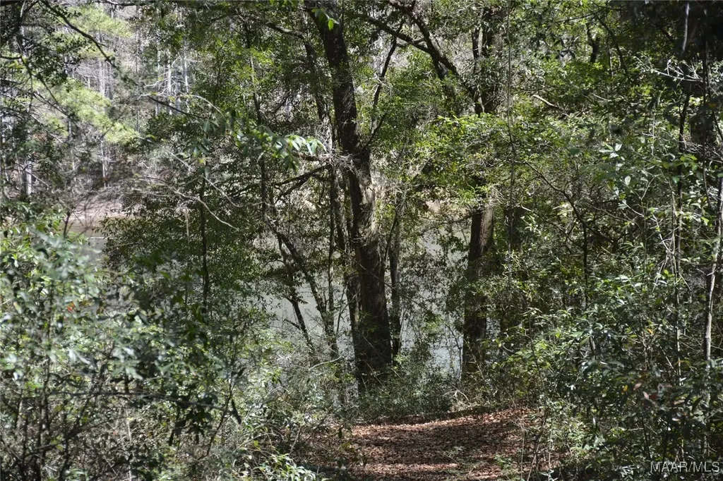 1 Oak Lake Drive Enterprise AL 36330