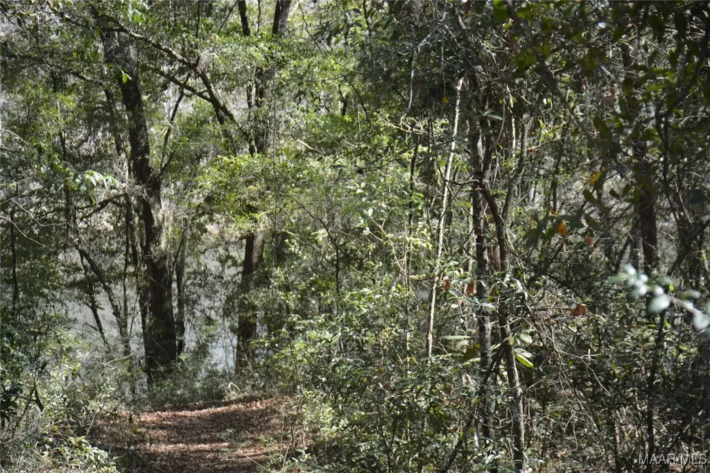 1 Oak Lake Drive Enterprise AL 36330