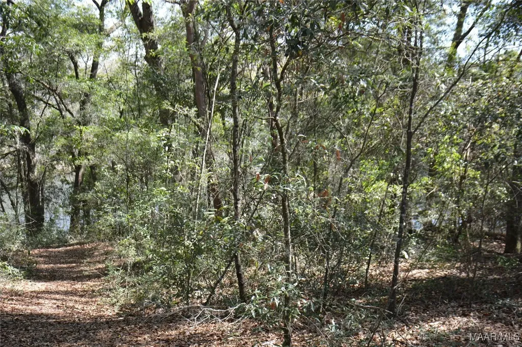 1 Oak Lake Drive Enterprise AL 36330