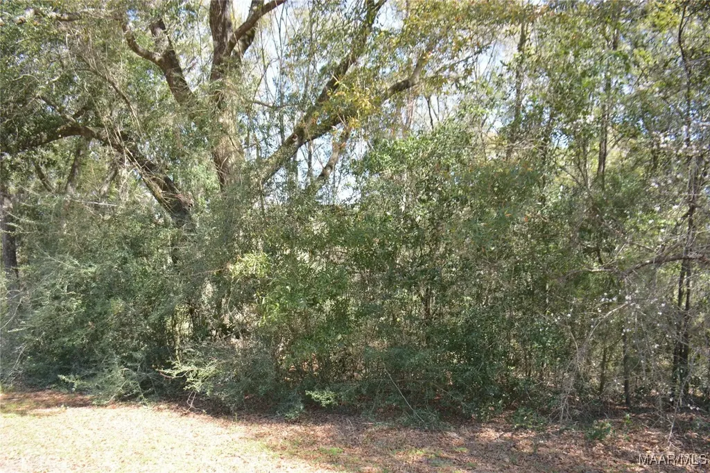 1 Oak Lake Drive Enterprise AL 36330