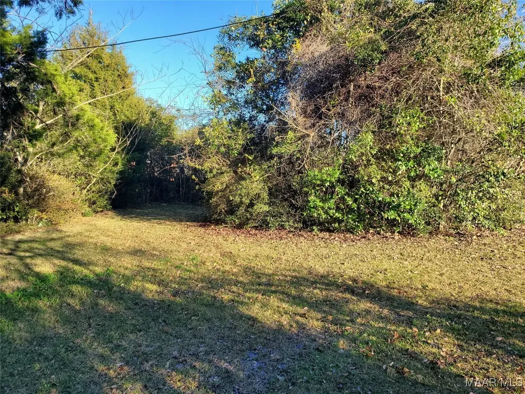 1325 Bermuda Street Ozark AL 36360