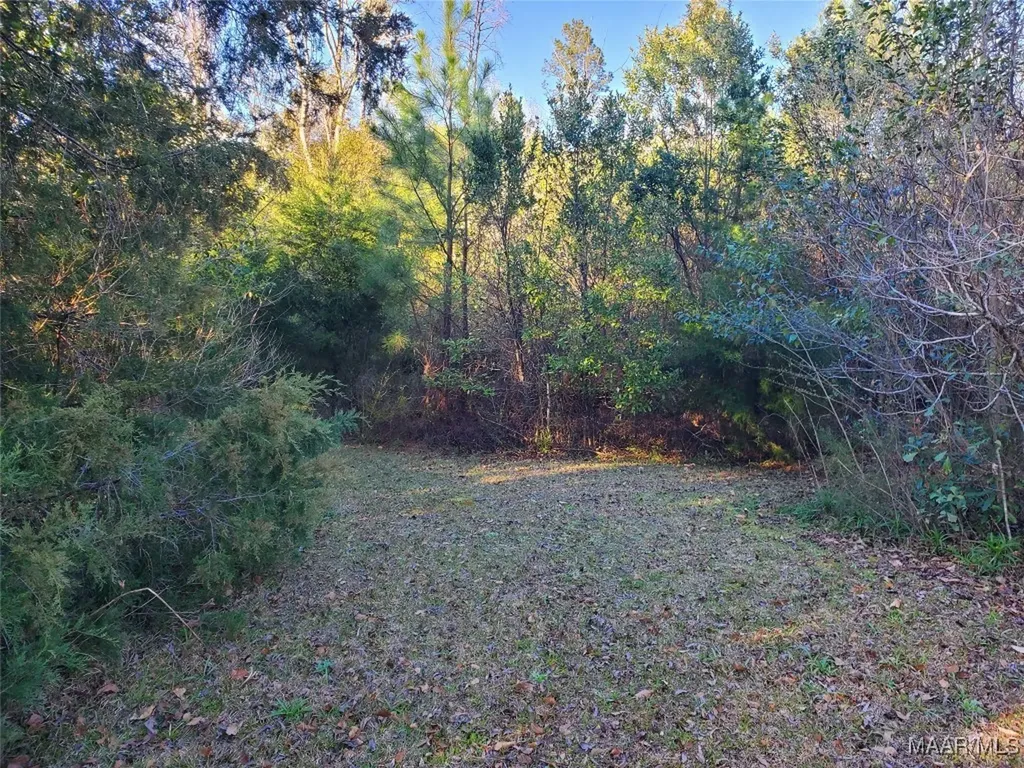 1325 Bermuda Street Ozark AL 36360