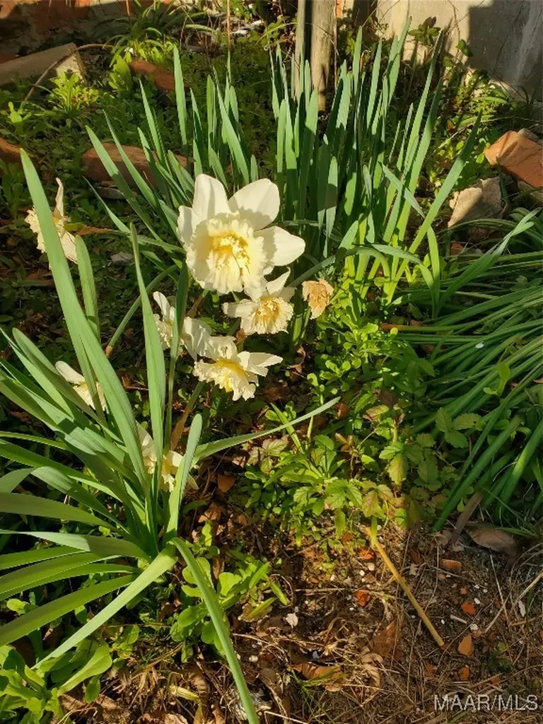 1325 Bermuda Street Ozark AL 36360