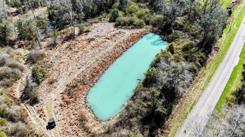 1245 S Ball Street Slocomb AL 36375