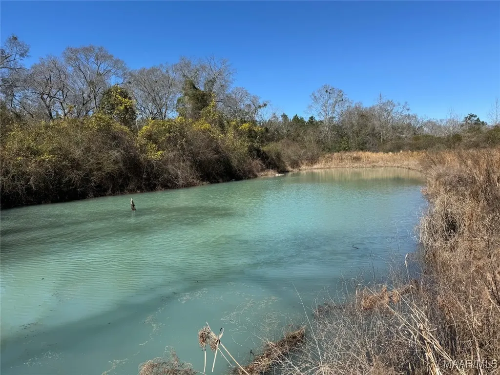 1245 S Ball Street Slocomb AL 36375