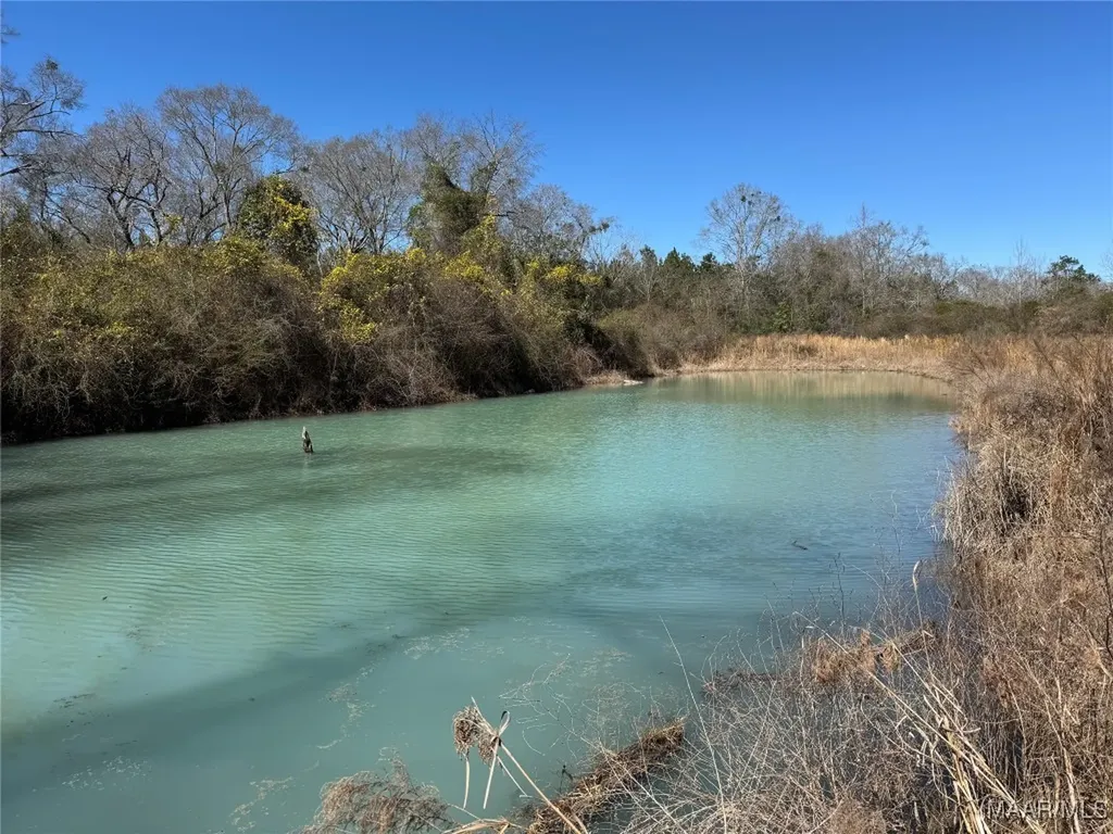 1245 S Ball Street Slocomb AL 36375