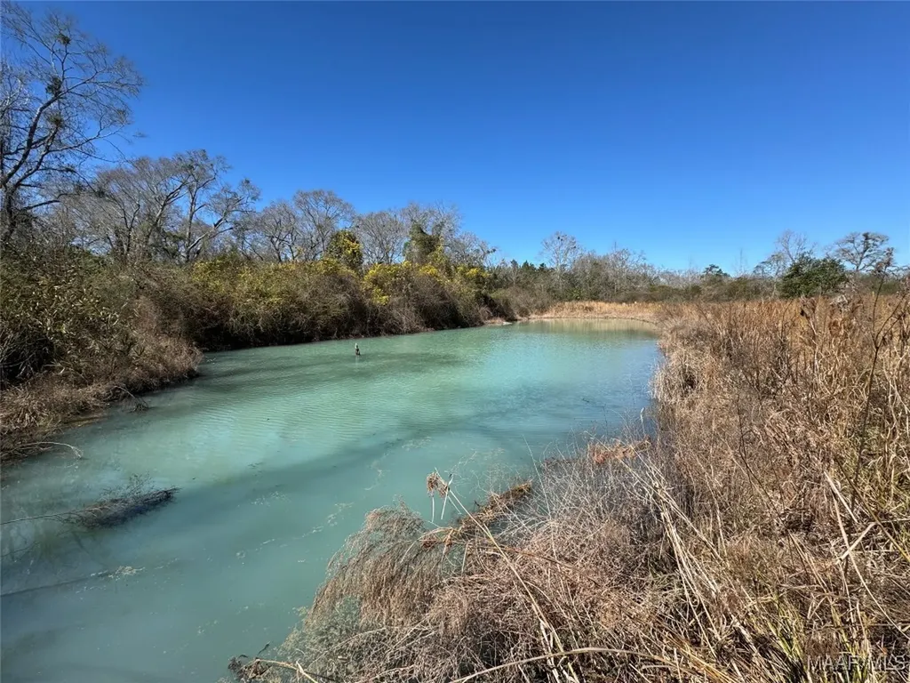 1245 S Ball Street Slocomb AL 36375