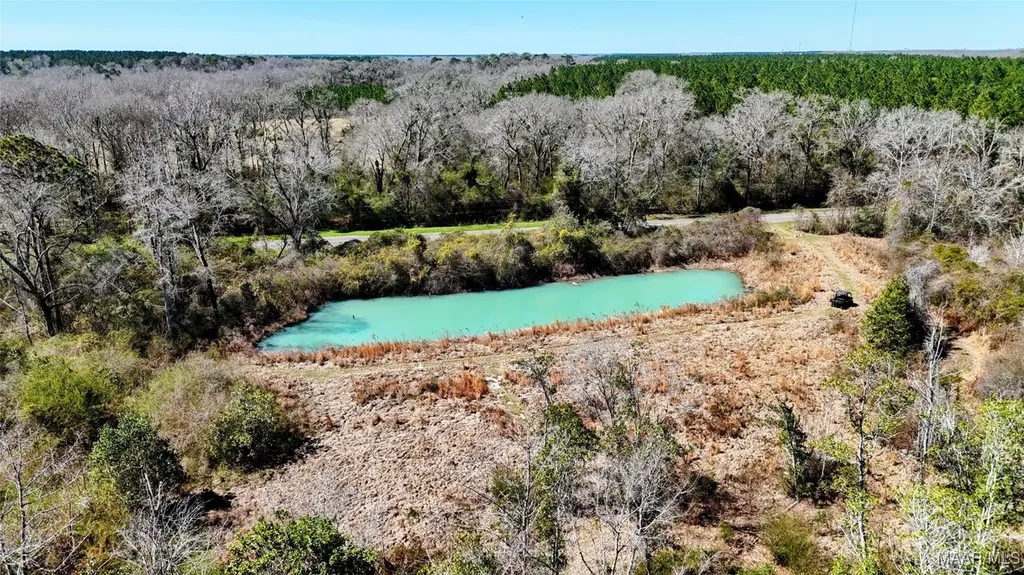 1245 S Ball Street Slocomb AL 36375