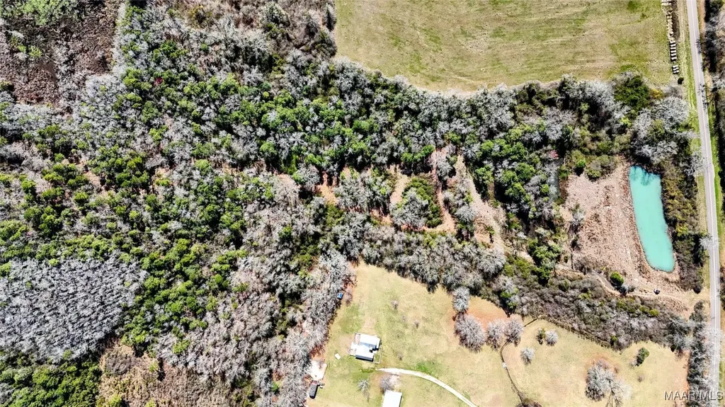 1245 S Ball Street Slocomb AL 36375