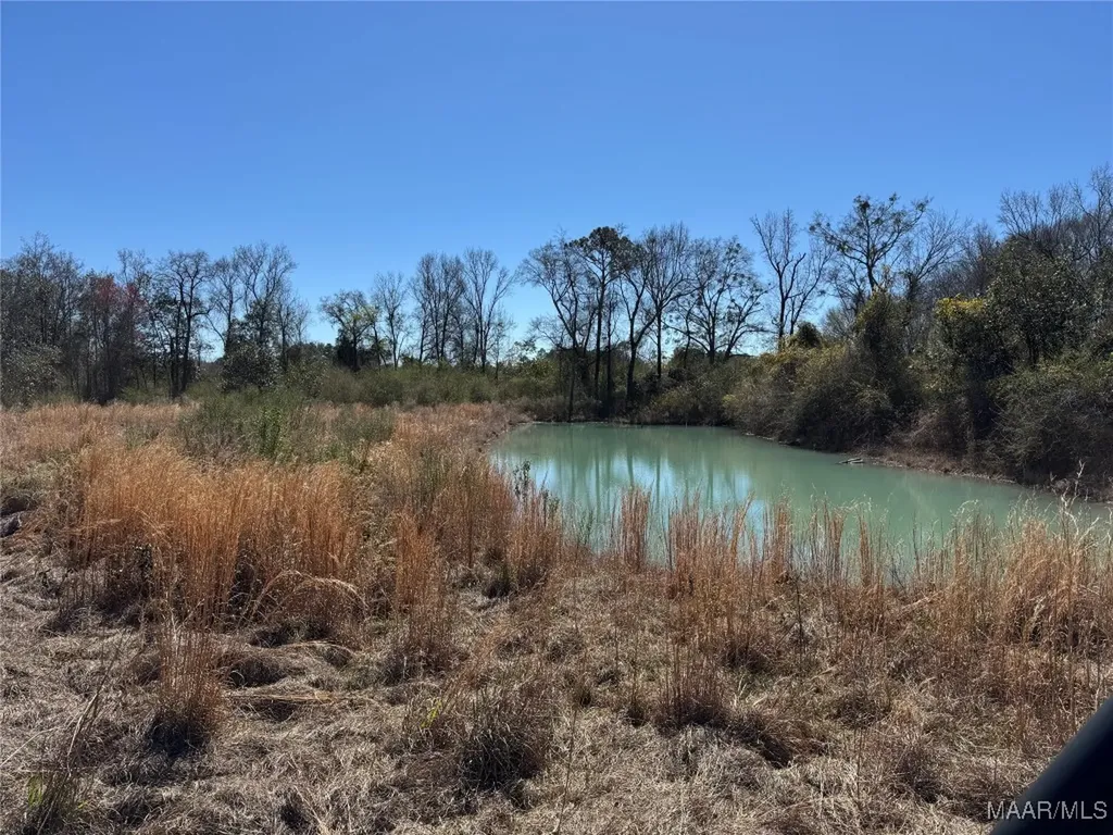 1245 S Ball Street Slocomb AL 36375