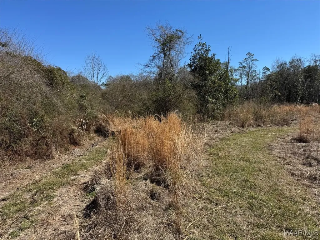 1245 S Ball Street Slocomb AL 36375