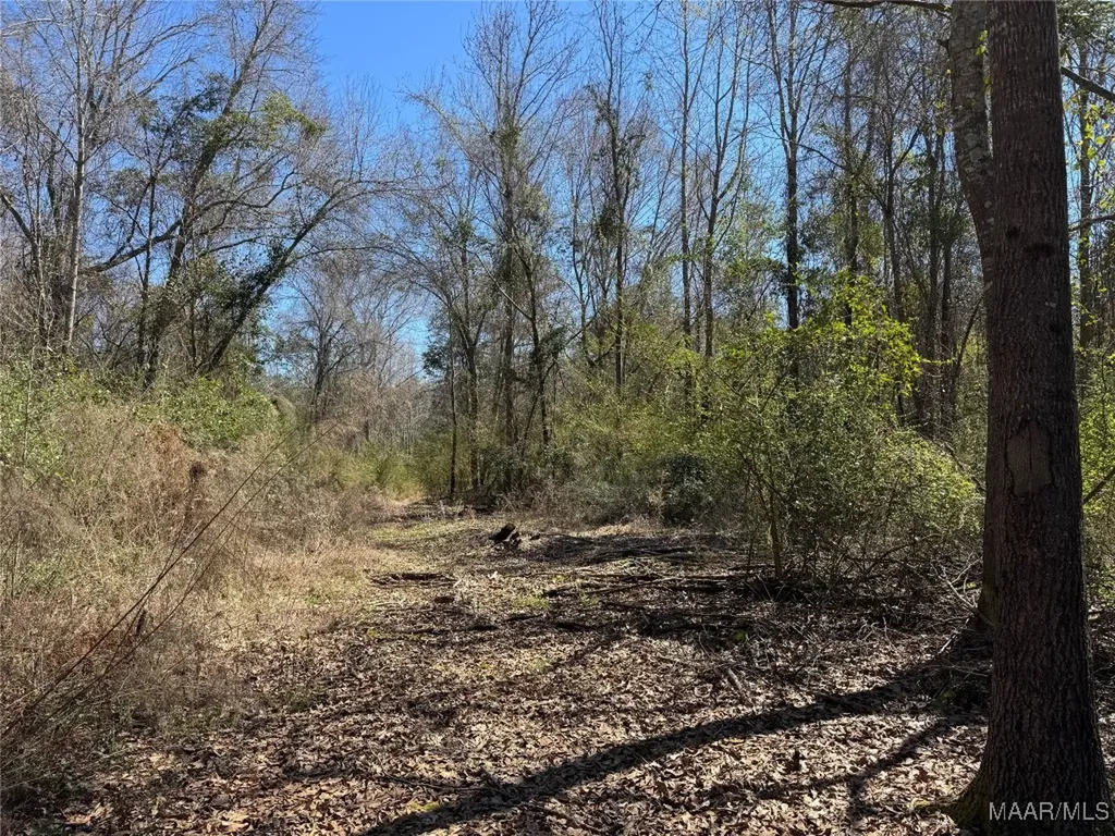 1245 S Ball Street Slocomb AL 36375