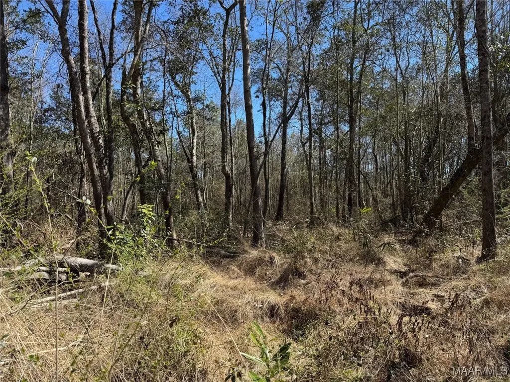 1245 S Ball Street Slocomb AL 36375