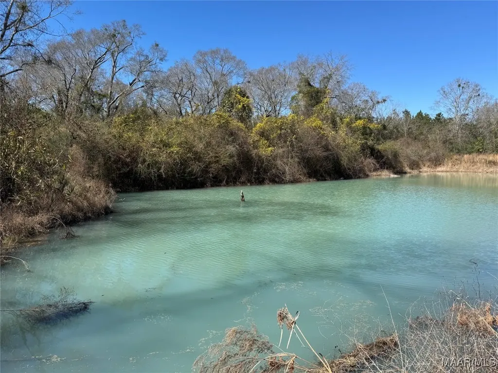 1245 S Ball Street Slocomb AL 36375