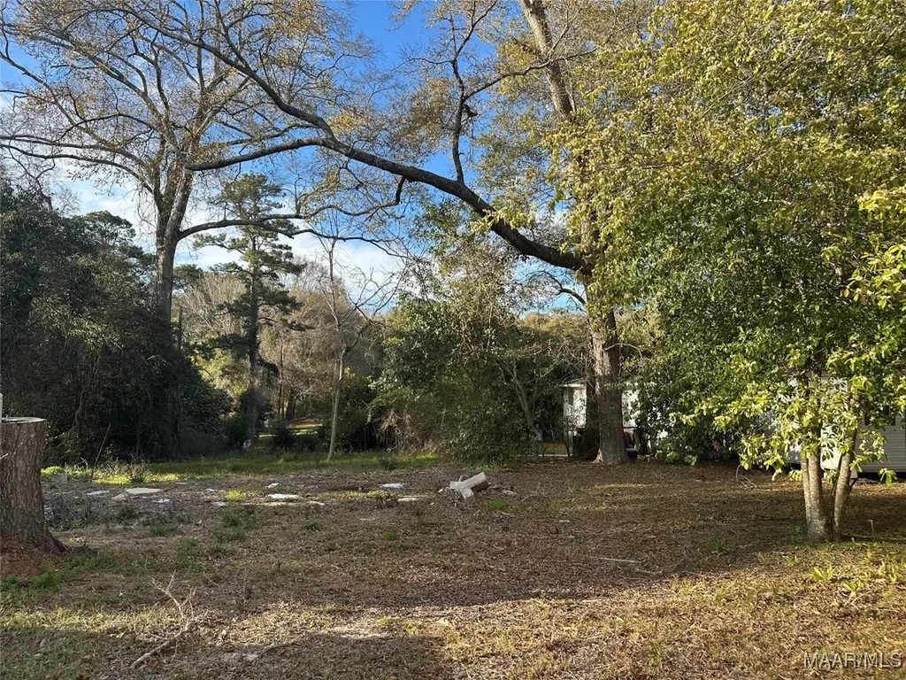 0 Magnolia Street Ozark AL 36360