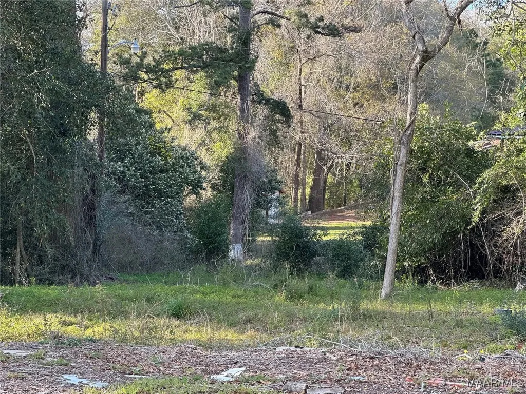 0 Magnolia Street Ozark AL 36360