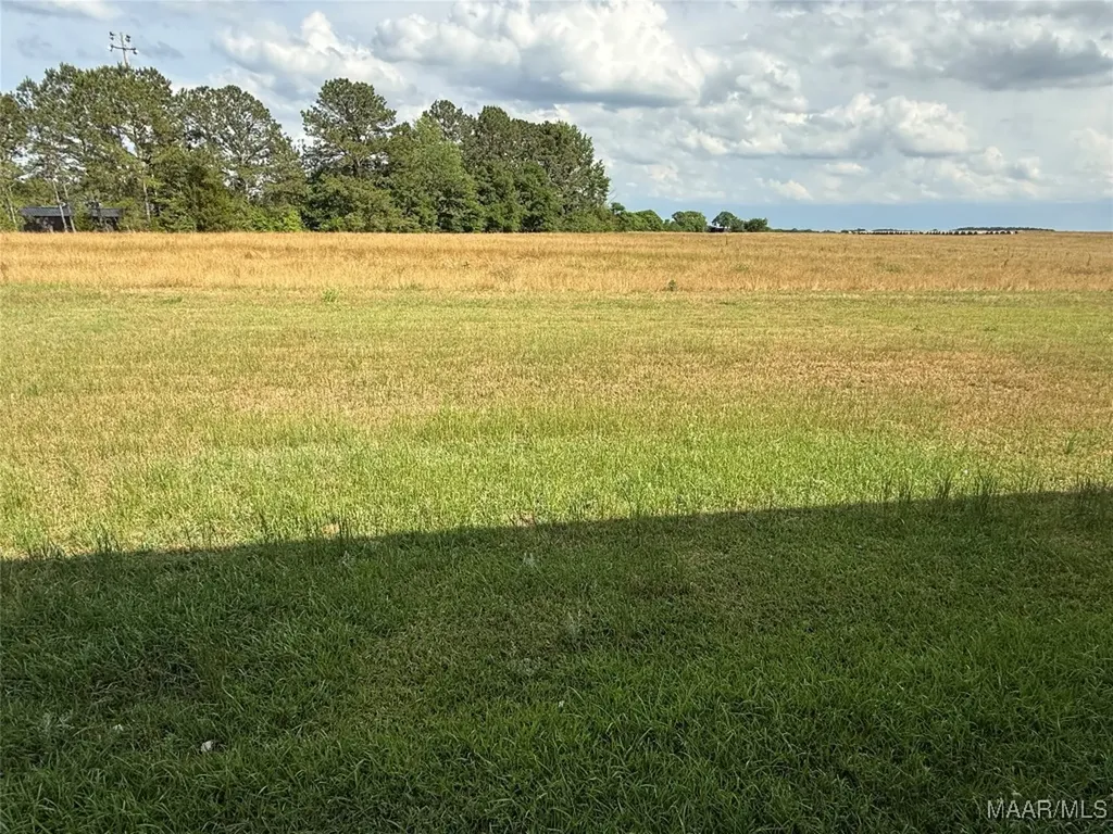 716 N John Street New Brockton AL 36351