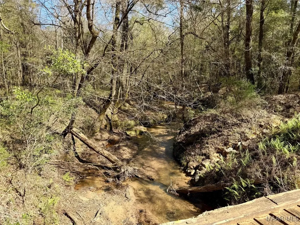 2326 Campbell Hill Road Chancellor AL 36316