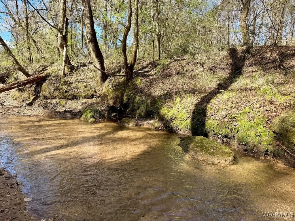 2326 Campbell Hill Road Chancellor AL 36316