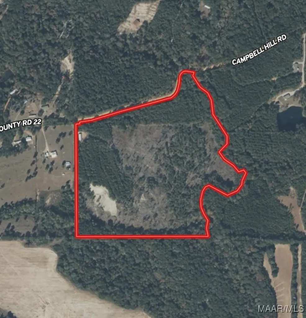 2326 Campbell Hill Road Chancellor AL 36316