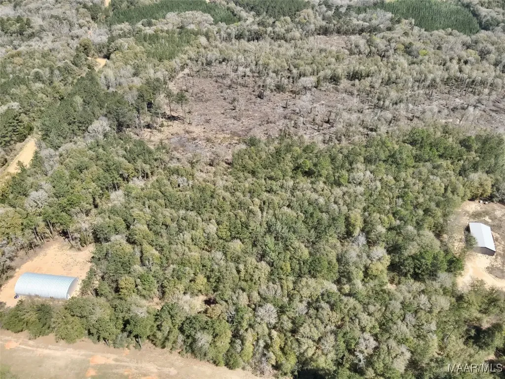 2326 Campbell Hill Road Chancellor AL 36316