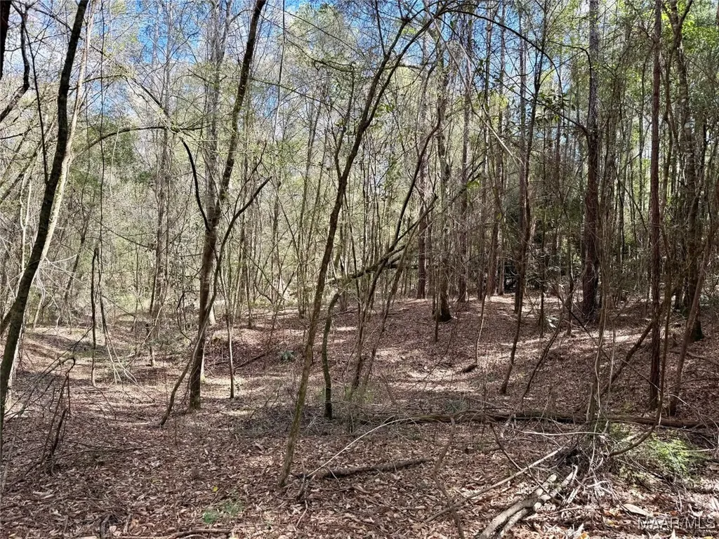 2326 Campbell Hill Road Chancellor AL 36316