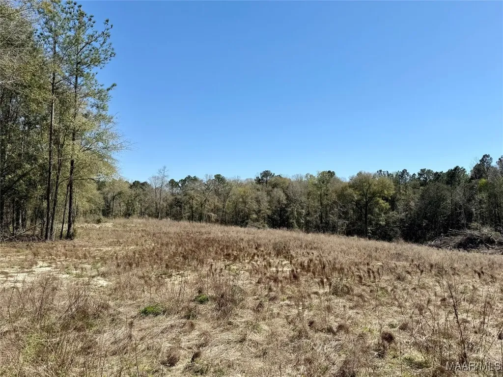 2326 Campbell Hill Road Chancellor AL 36316