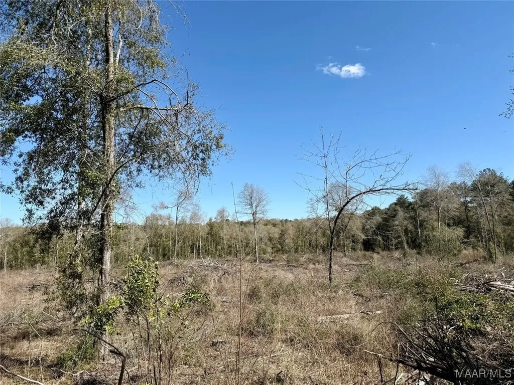 2326 Campbell Hill Road Chancellor AL 36316