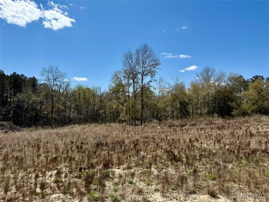 2326 Campbell Hill Road Chancellor AL 36316