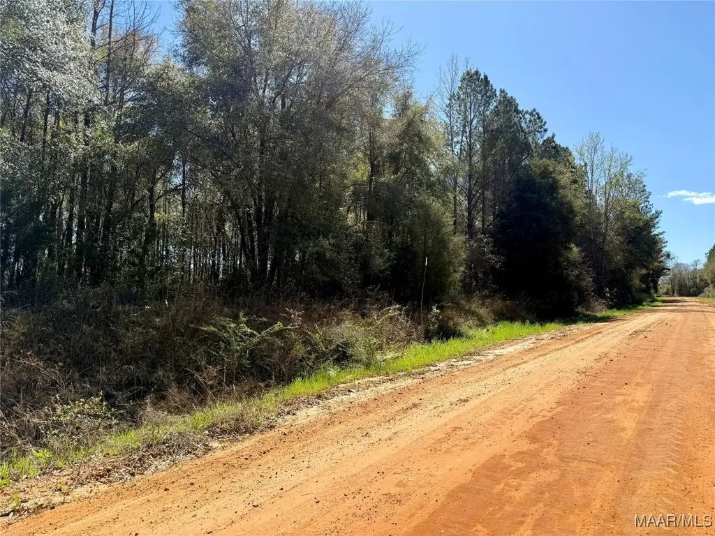 2326 Campbell Hill Road Chancellor AL 36316