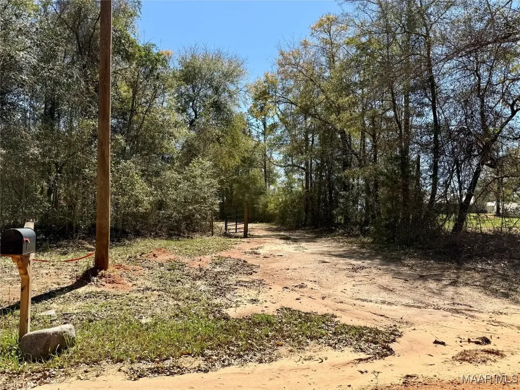 2326 Campbell Hill Road Chancellor AL 36316