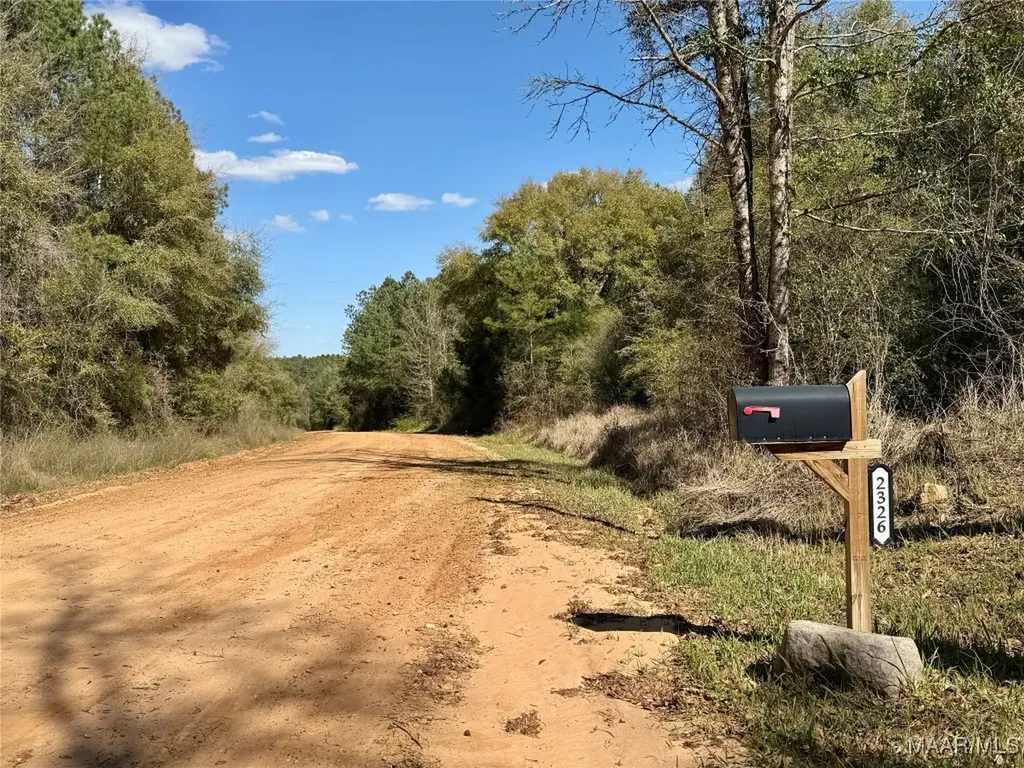 2326 Campbell Hill Road Chancellor AL 36316